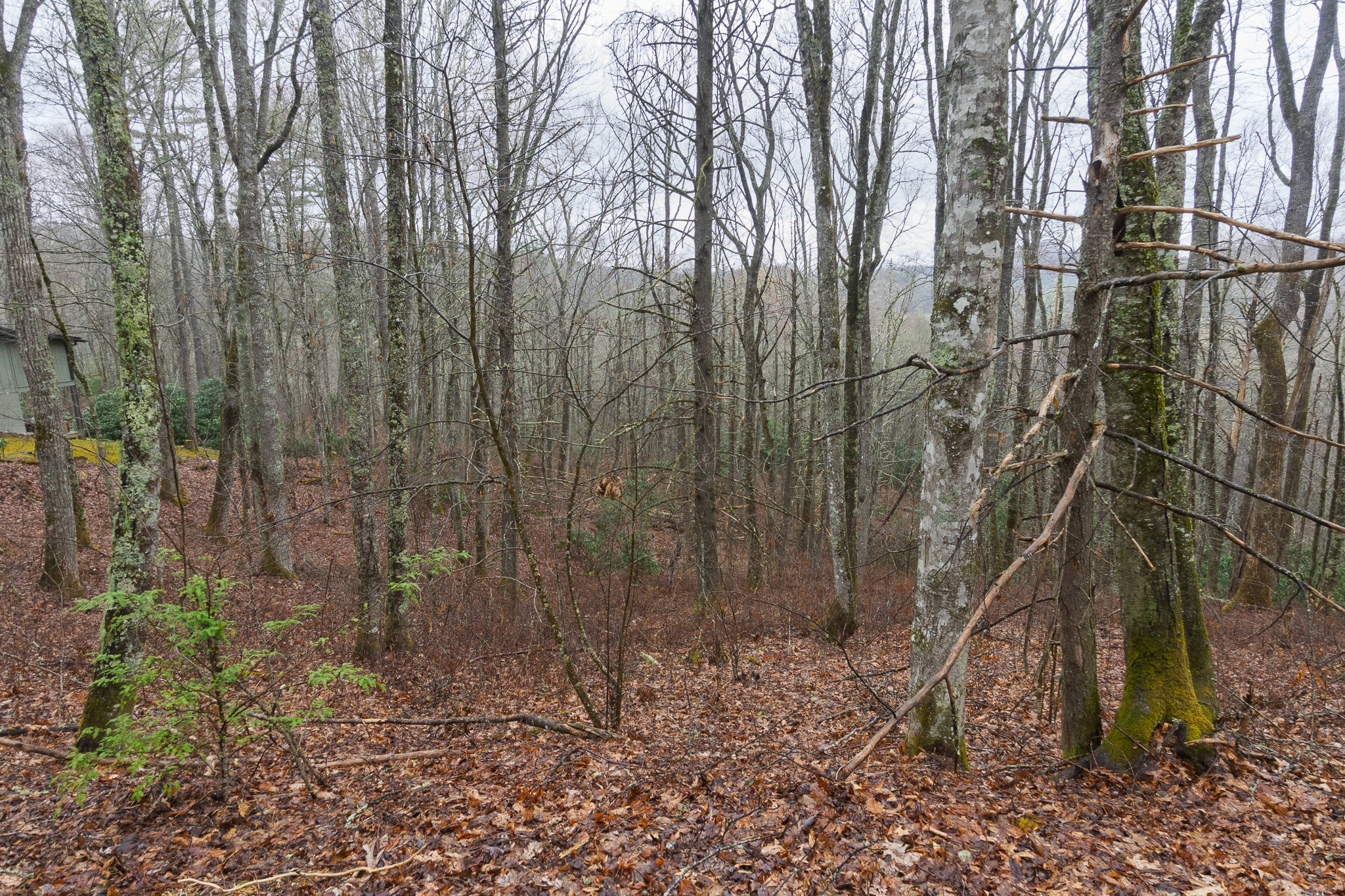 0 Kettle Creek