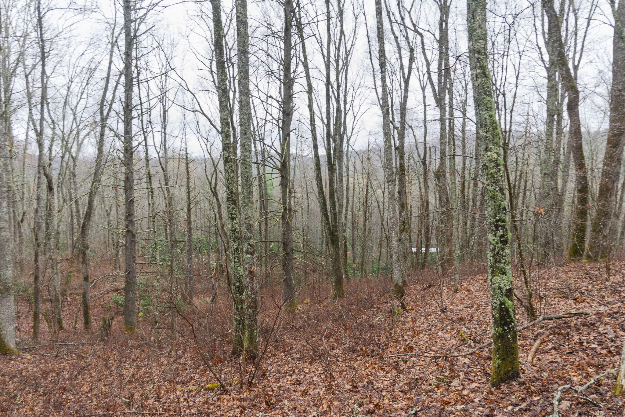 0 Kettle Creek