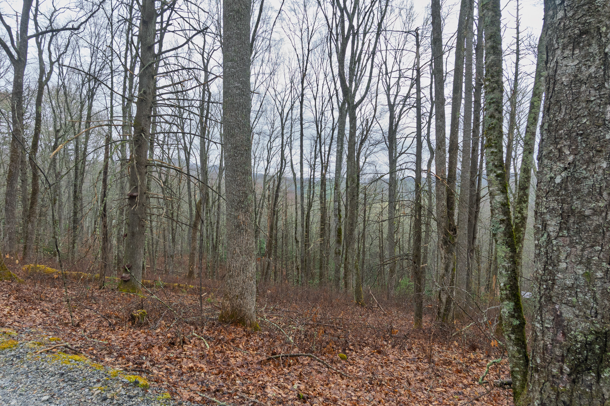 0 Kettle Creek
