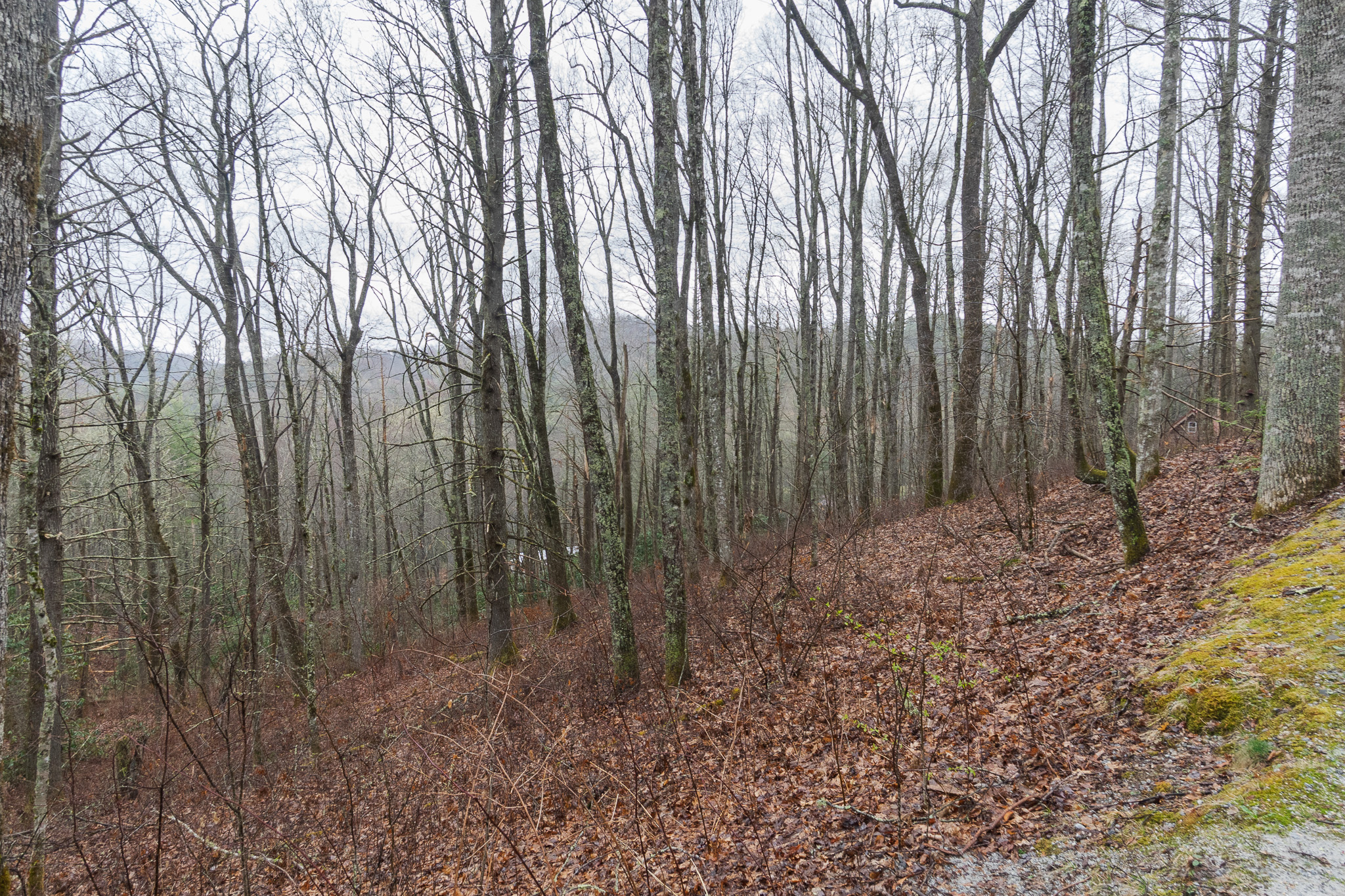 0 Kettle Creek