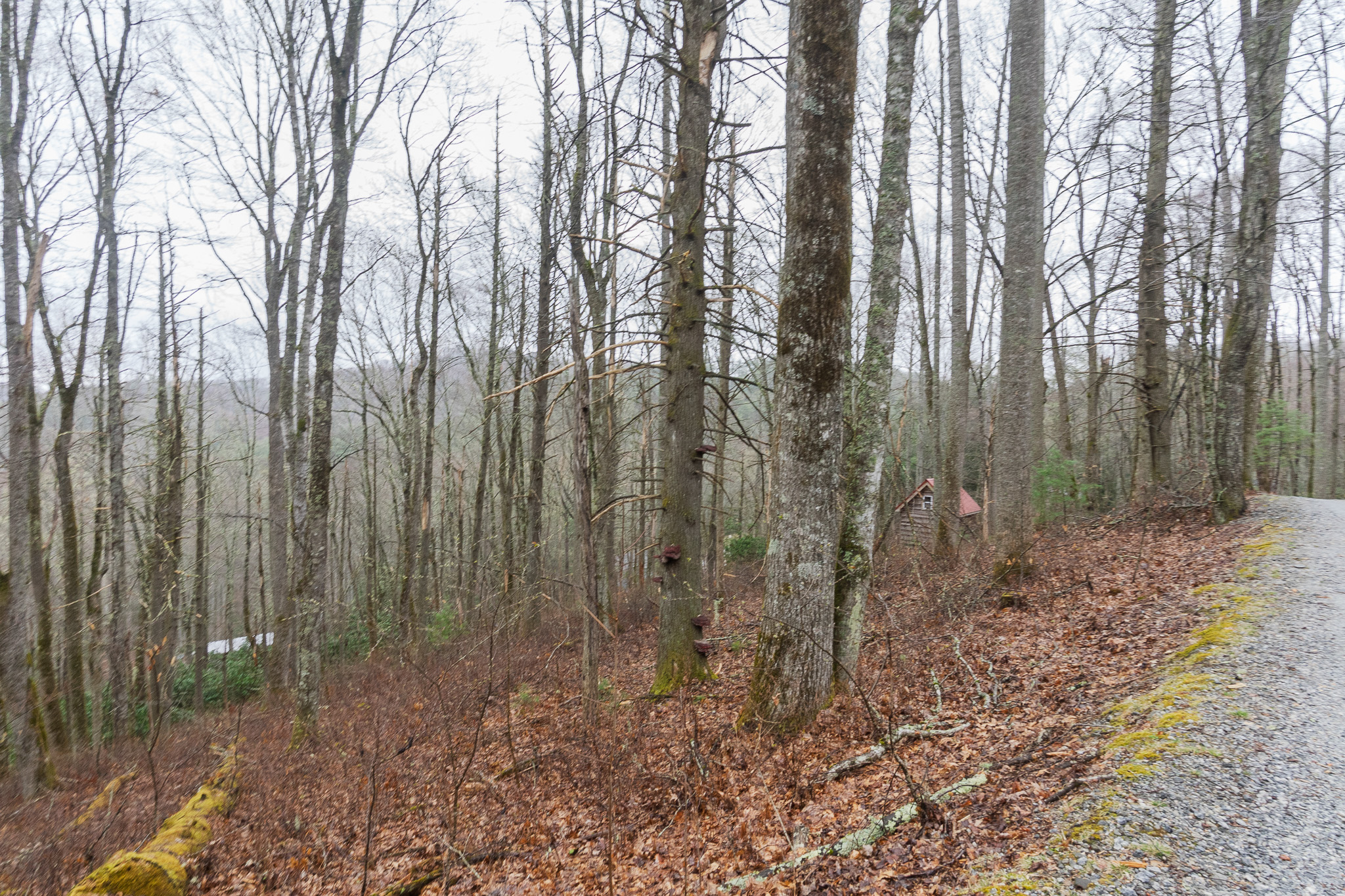 0 Kettle Creek