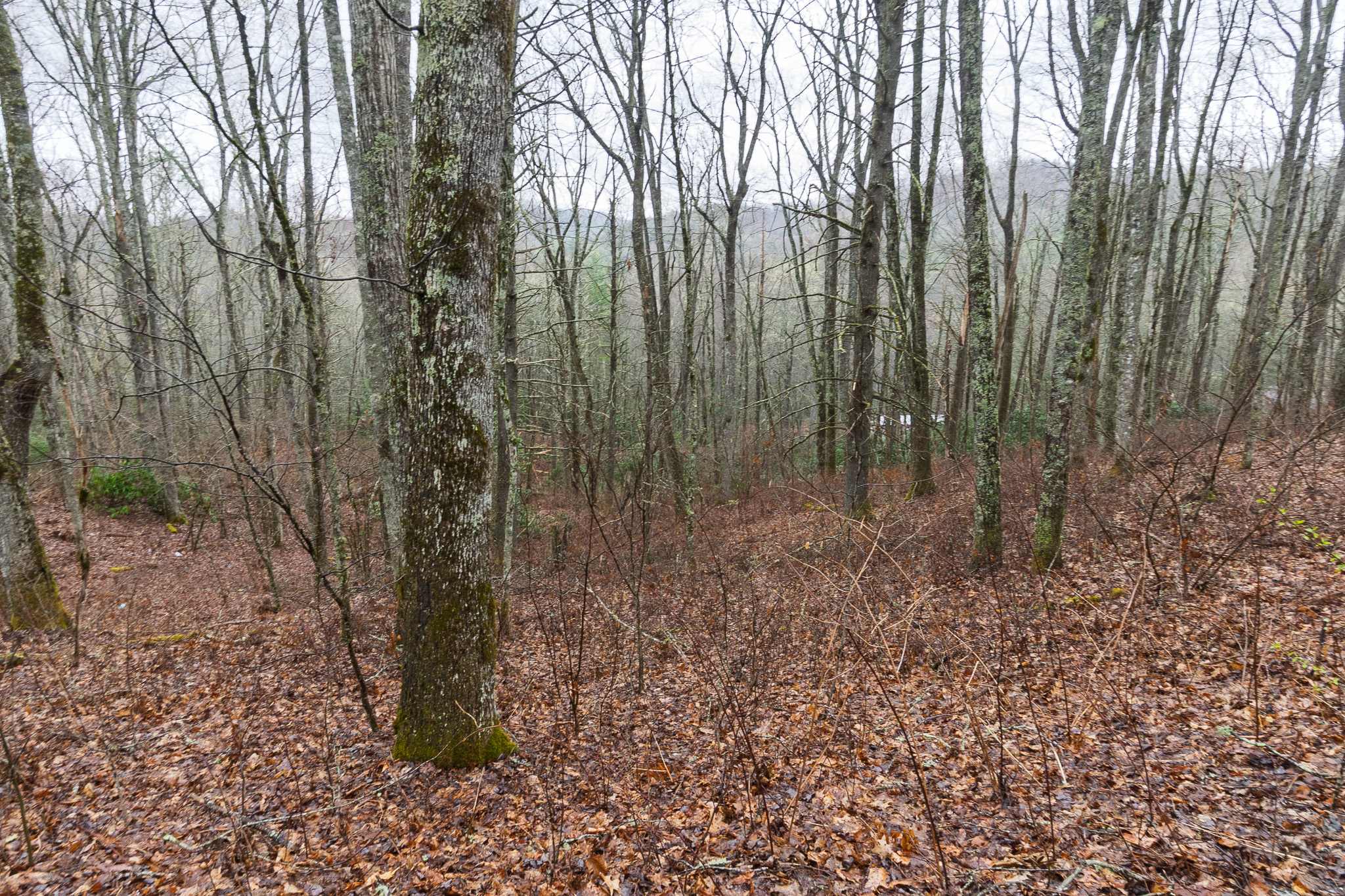 0 Kettle Creek