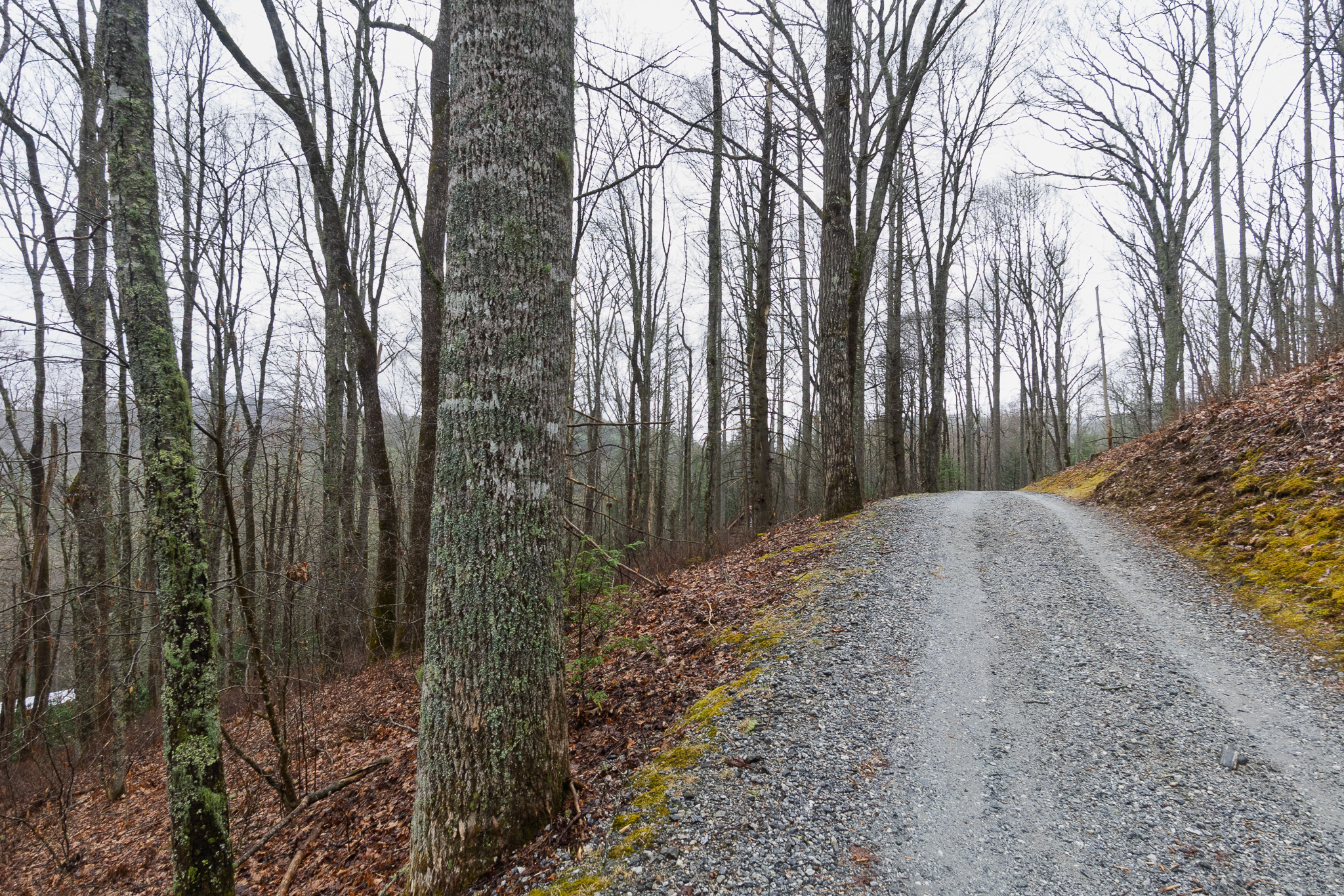 0 Kettle Creek