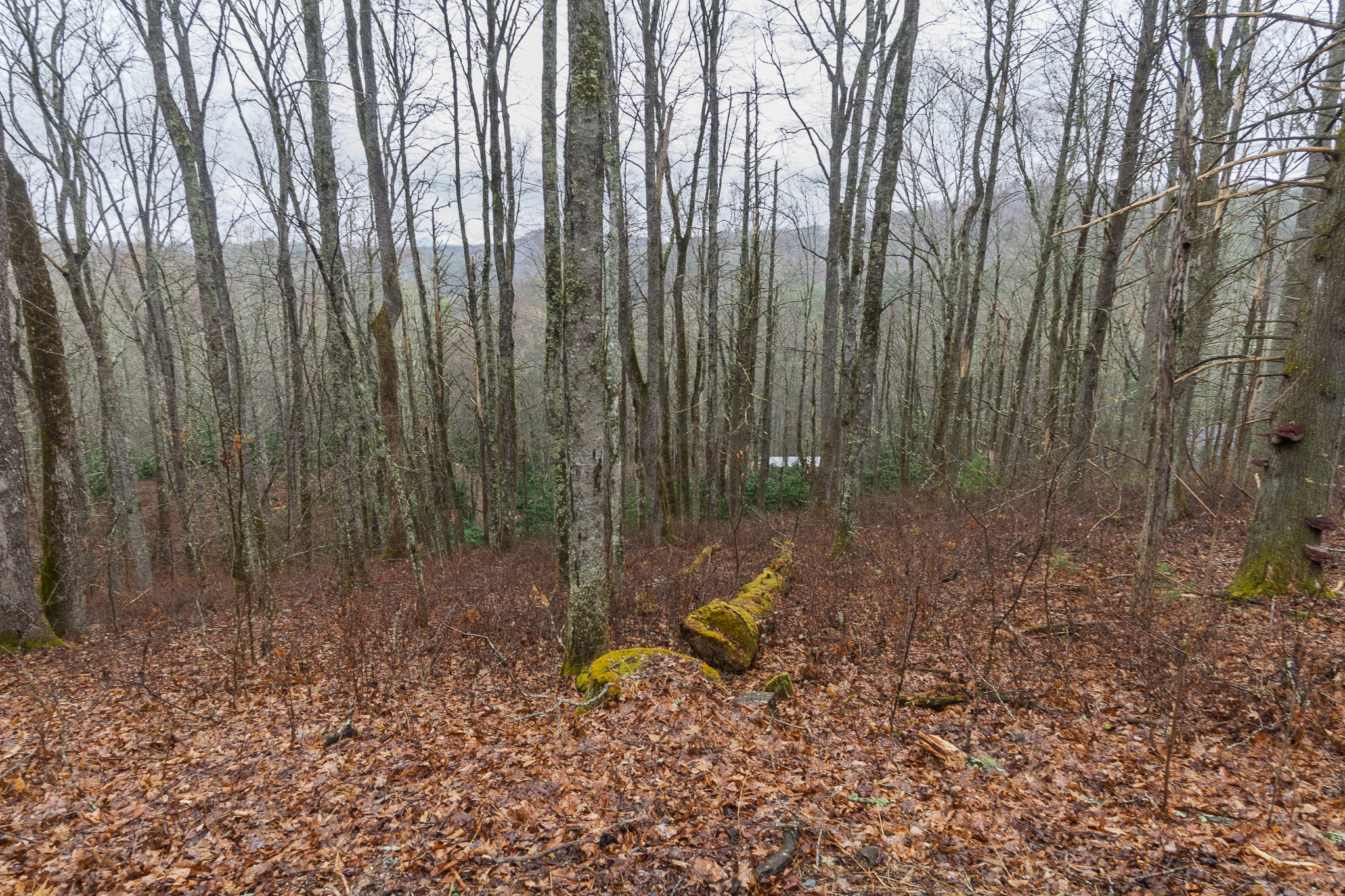 0 Kettle Creek