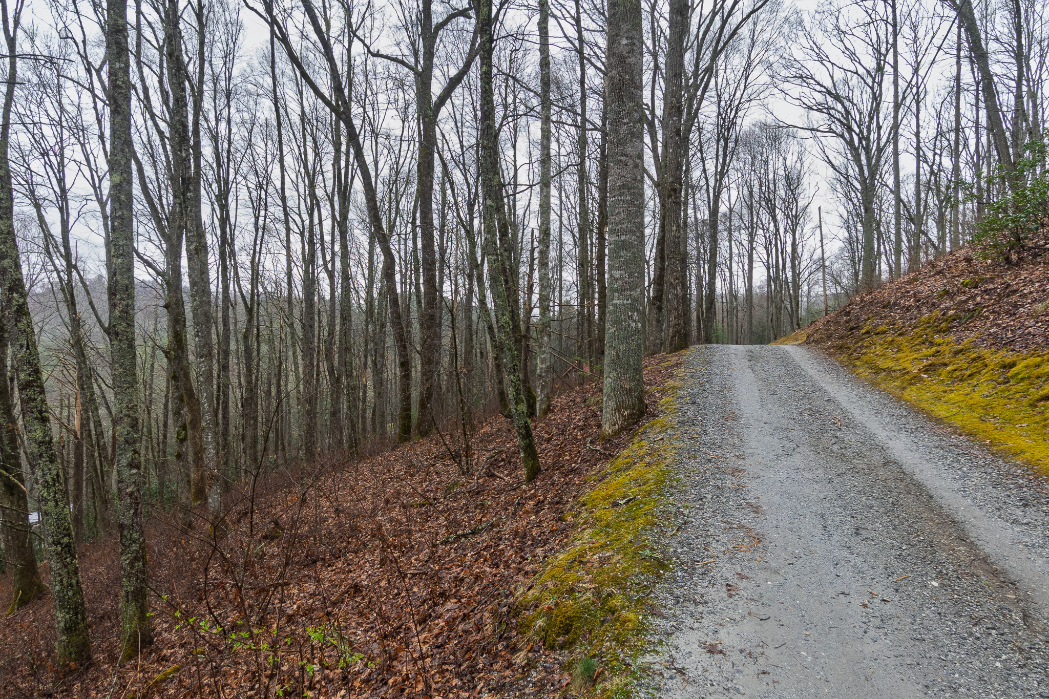 0 Kettle Creek