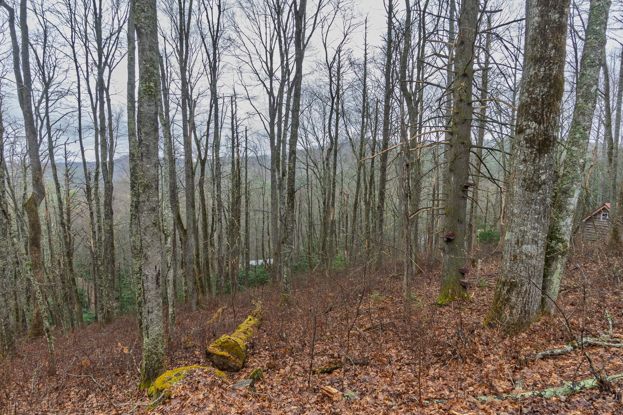 0 Kettle Creek