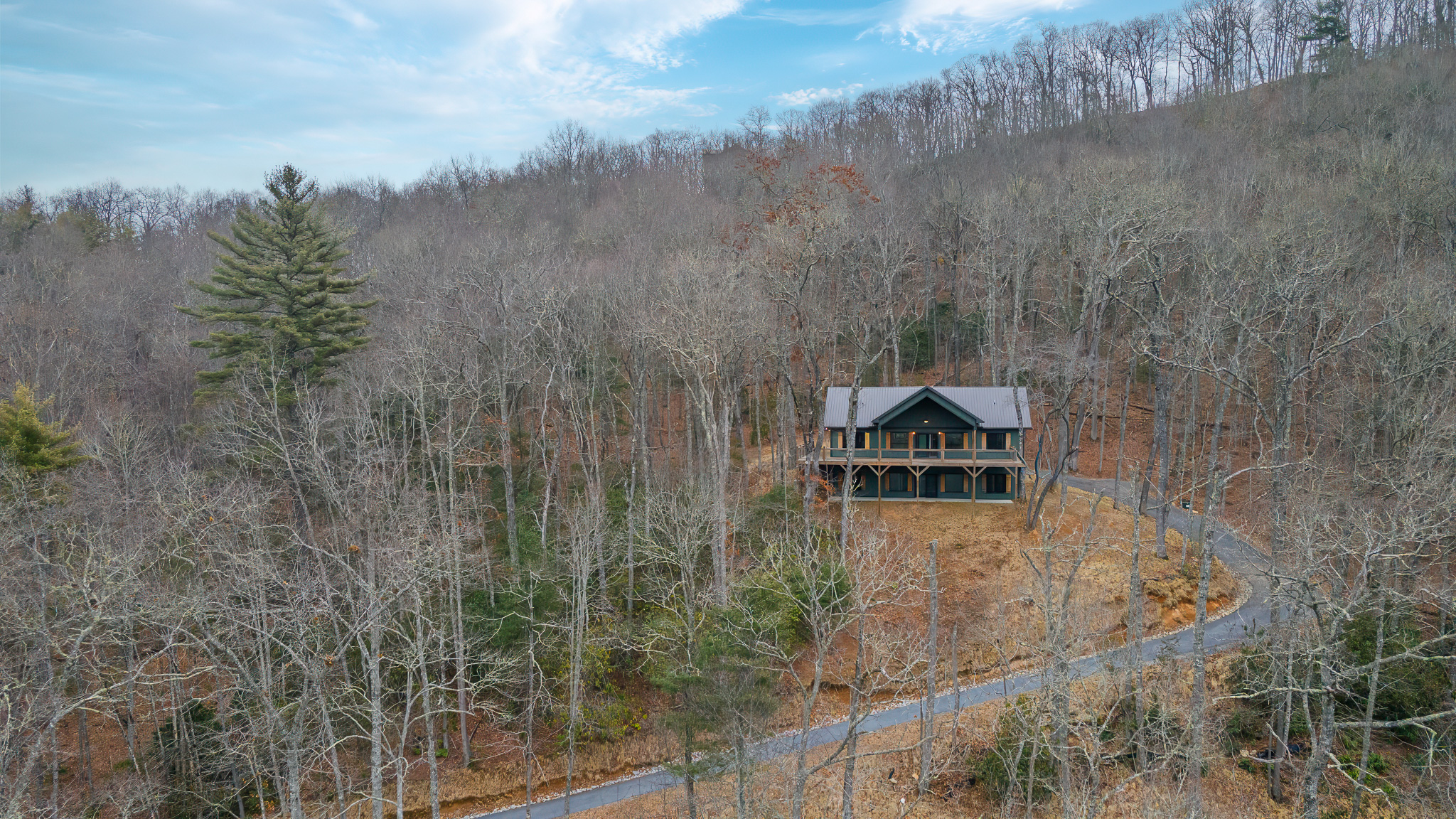 960 Woods Mountain Trail