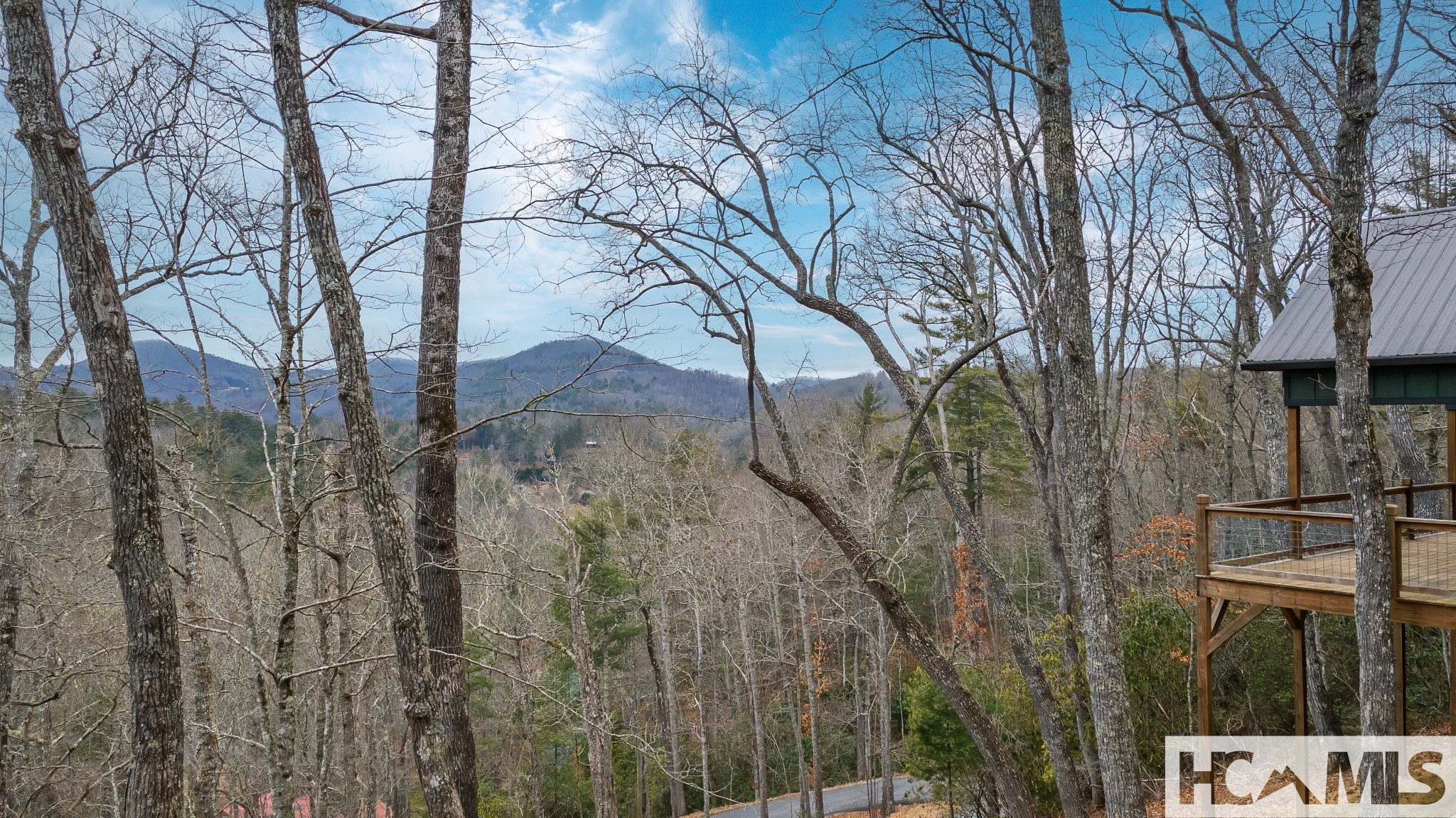 960 Woods Mountain Trail