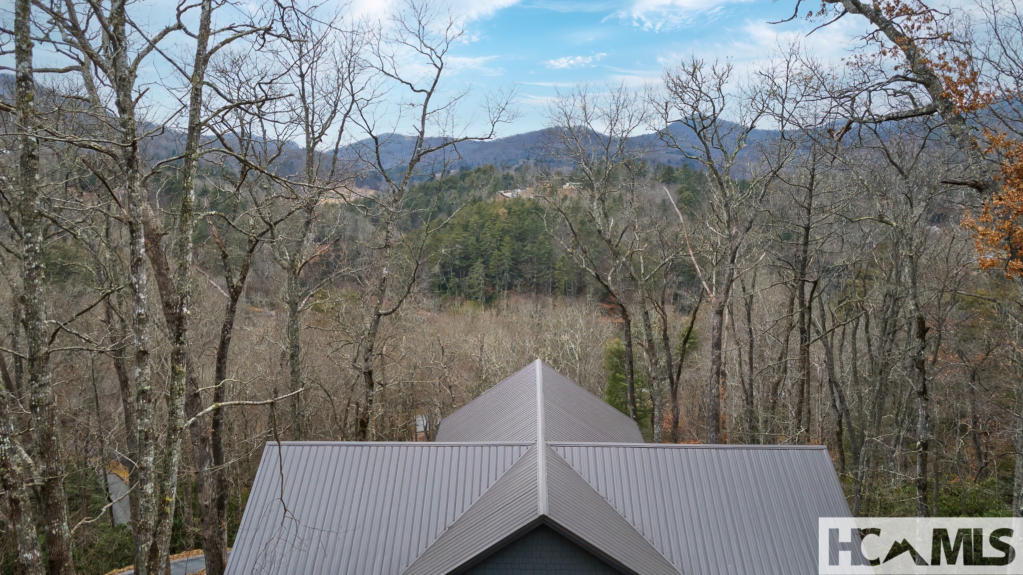 960 Woods Mountain Trail