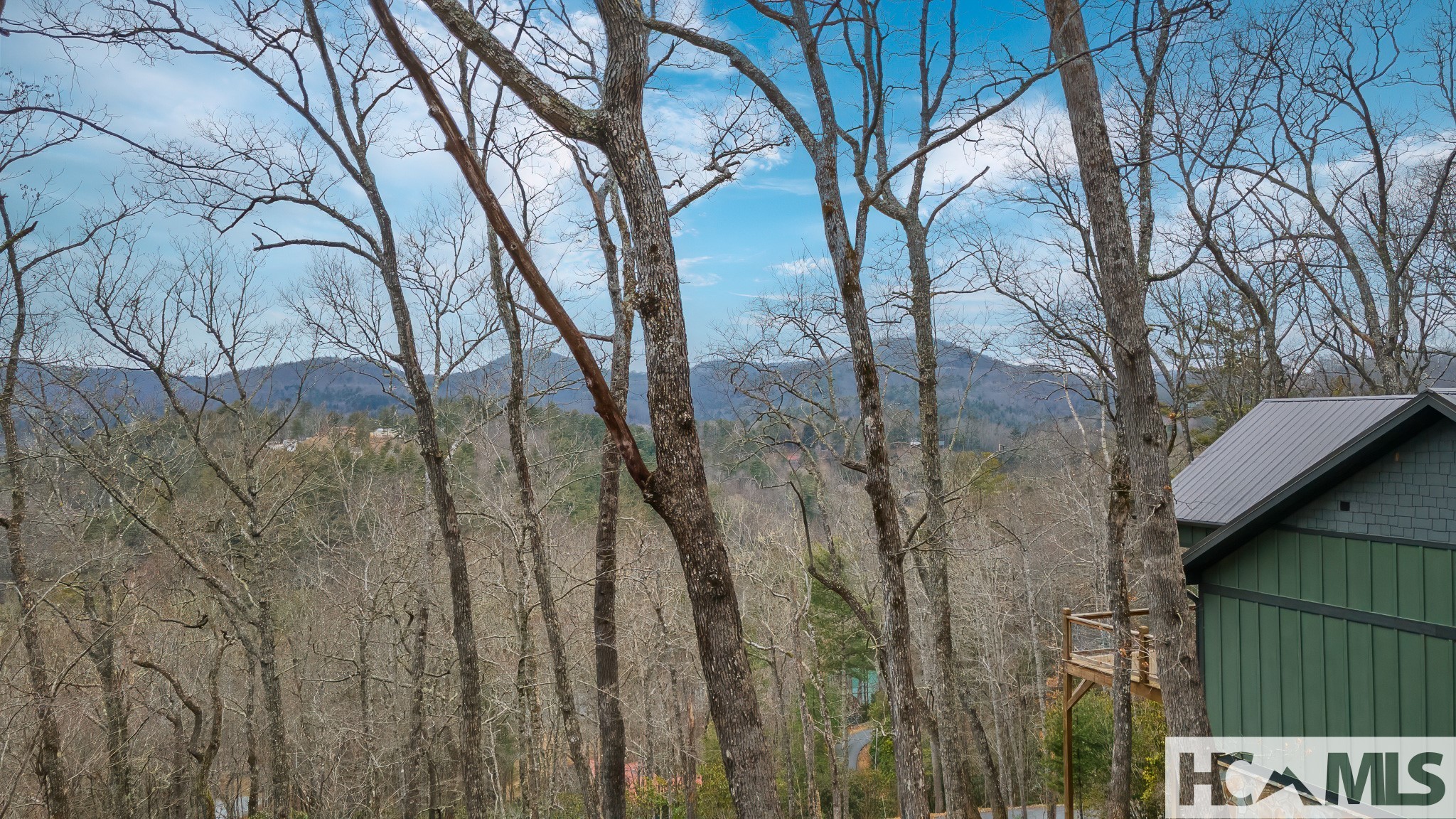 960 Woods Mountain Trail