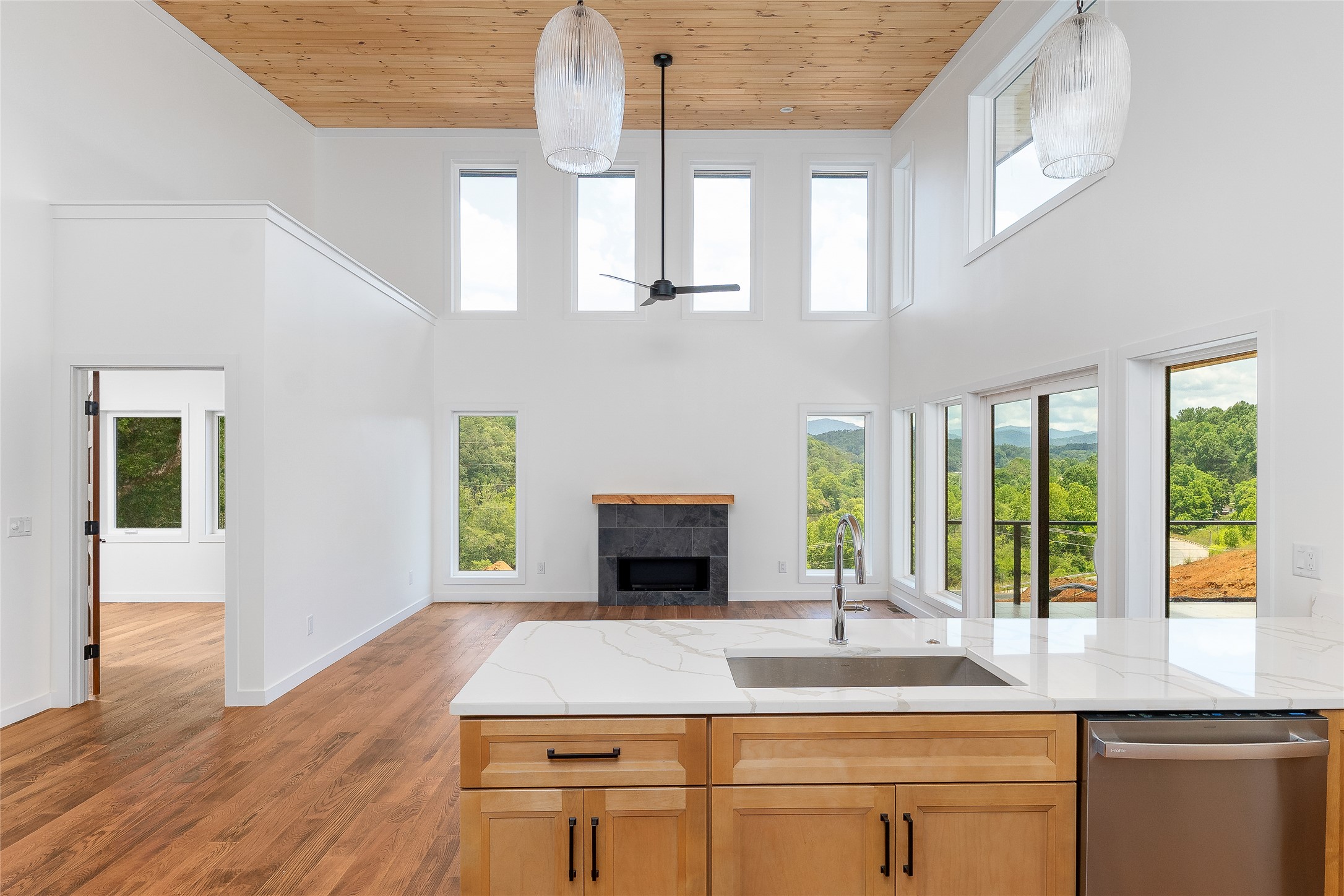 201 Mountain Laurel Ridge 3