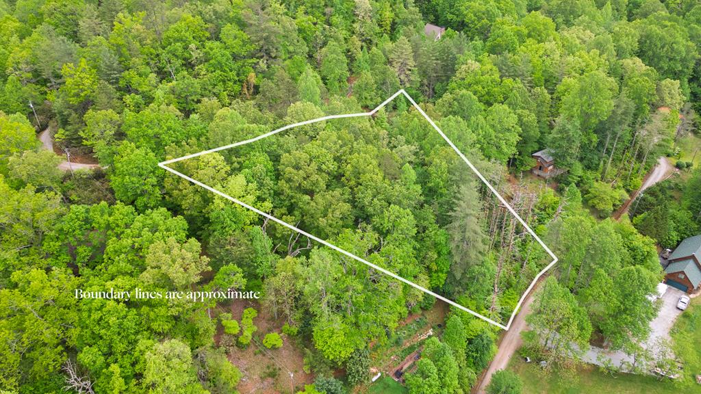 54 Crestline Drive