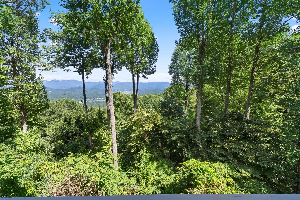 1926 Wilkes Knob Road