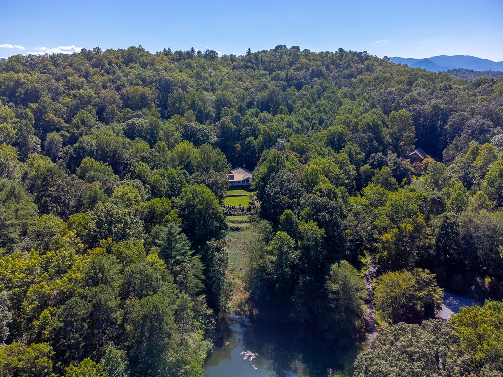 603 Hemlock Hills Dr