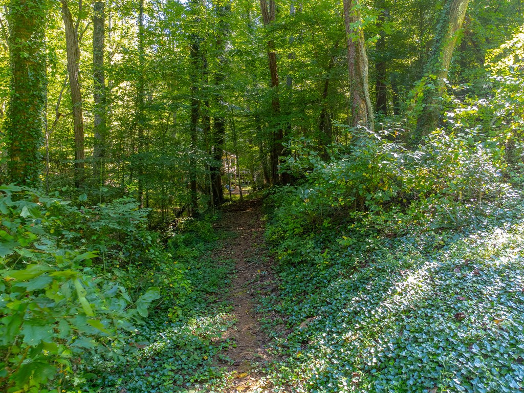 603 Hemlock Hills Dr