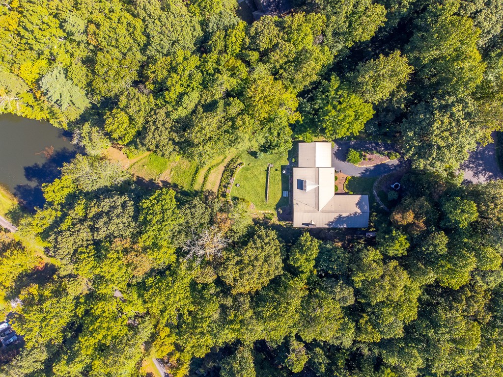 603 Hemlock Hills Dr