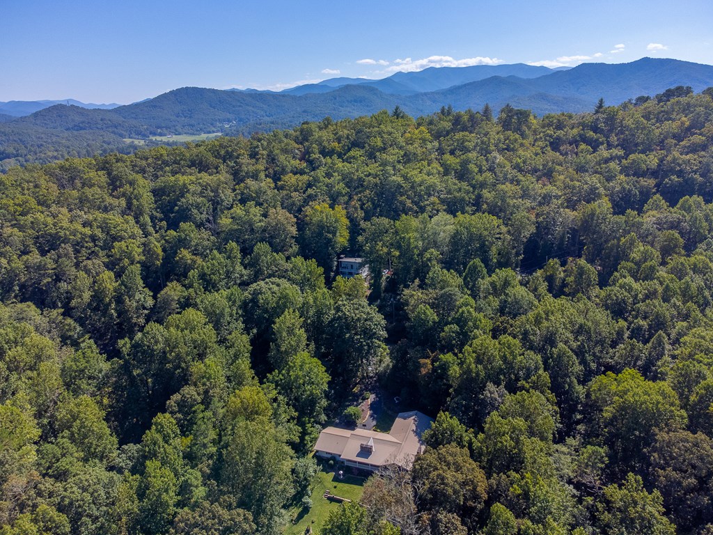 603 Hemlock Hills Dr