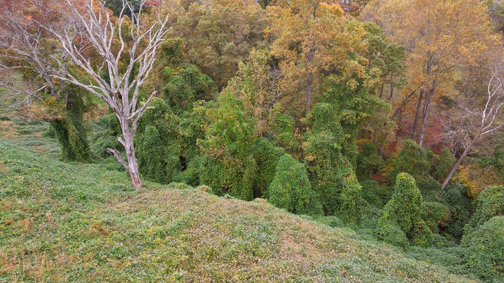 00 Sawmill Village Lane