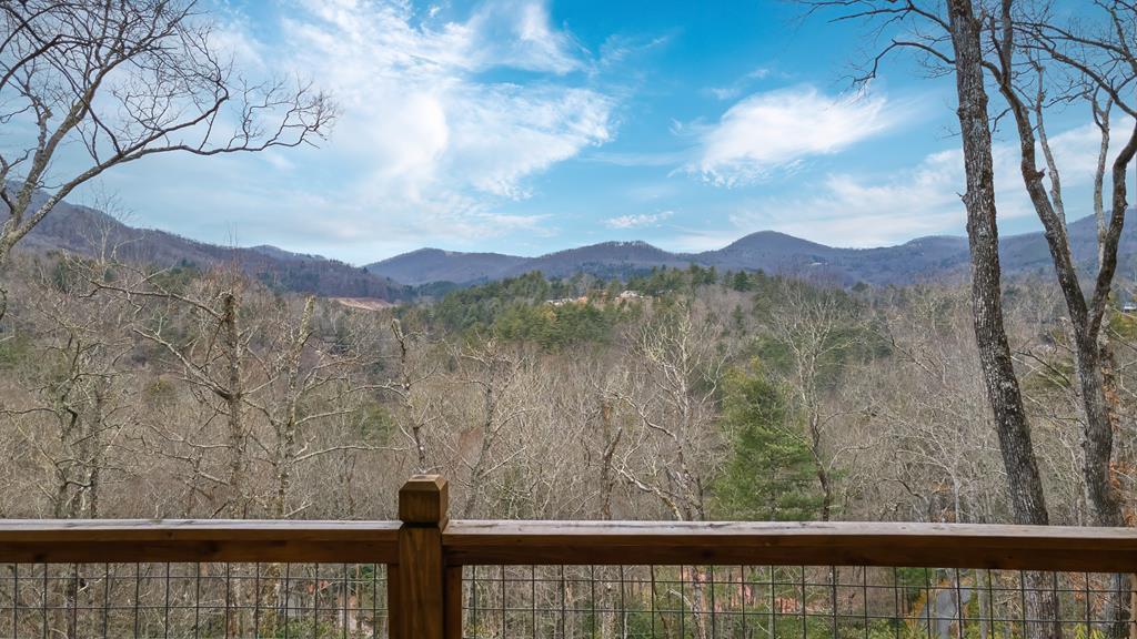 960 Woods Mountain Trl