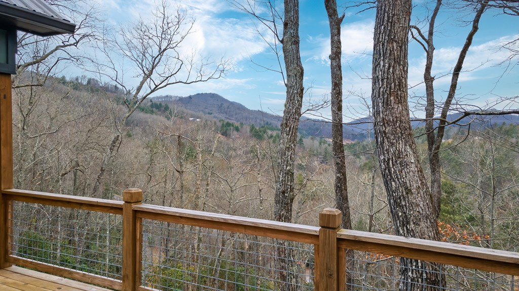 960 Woods Mountain Trl