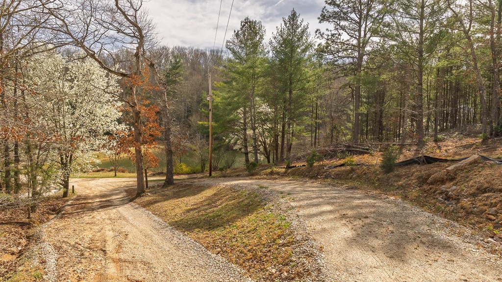 159 Kings Cove Rd.