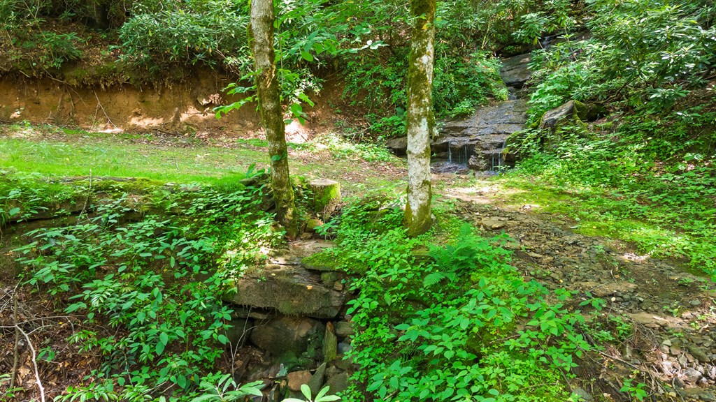 75 Doe Falls Rd