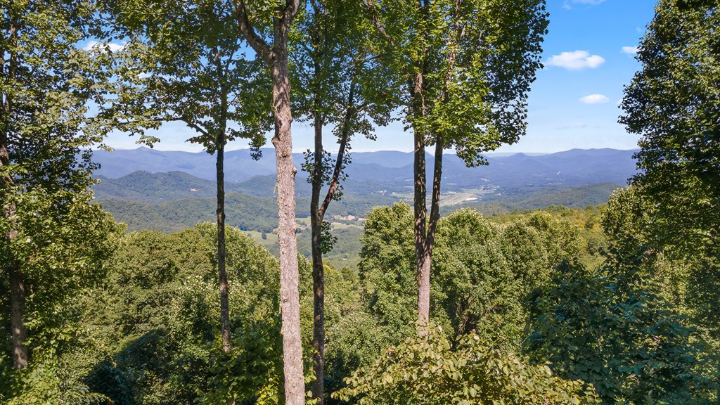 1926 Wilkes Knob Road