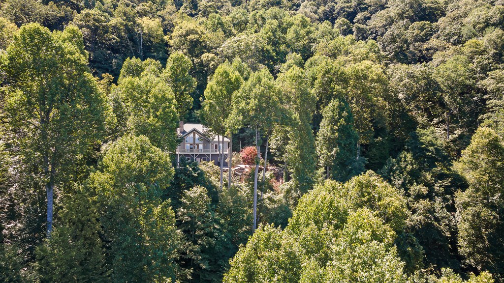 1926 Wilkes Knob Road