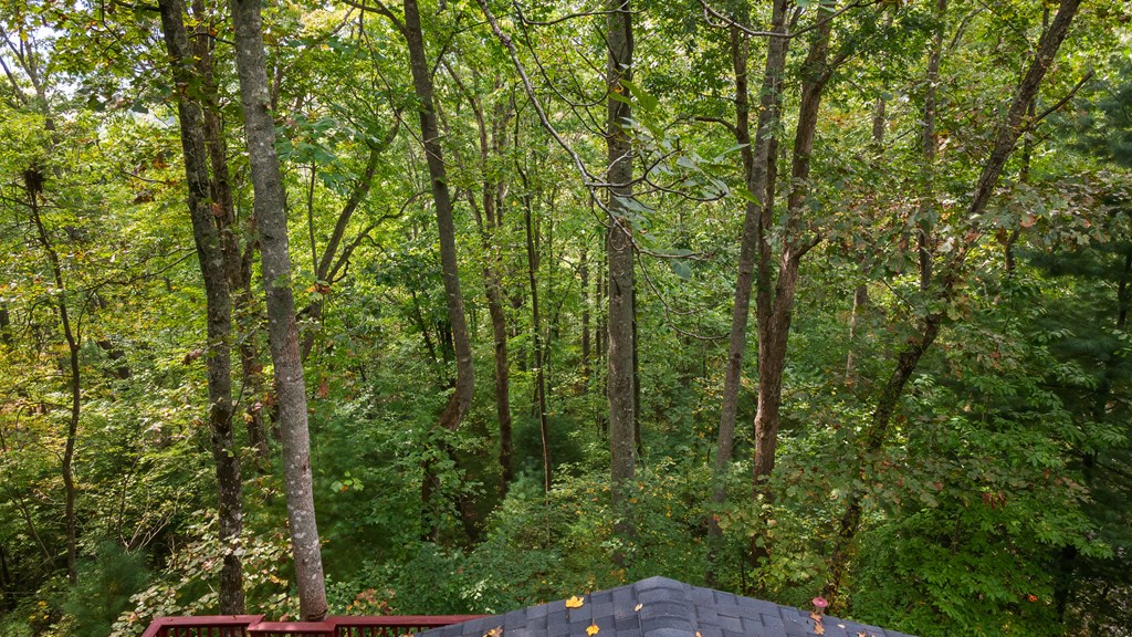 292 Indigo Lane