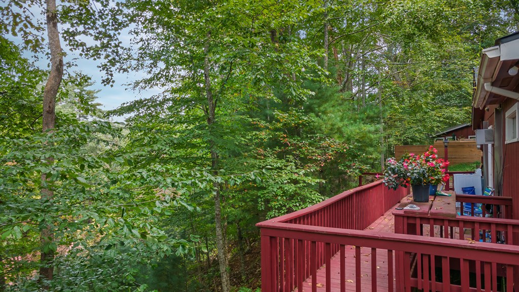 292 Indigo Lane