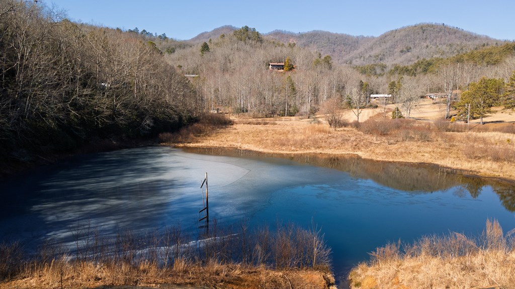 1135 DAVES CREEK RD