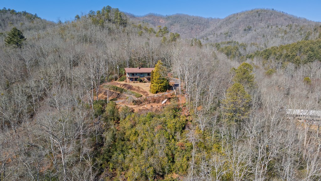 1135 DAVES CREEK RD