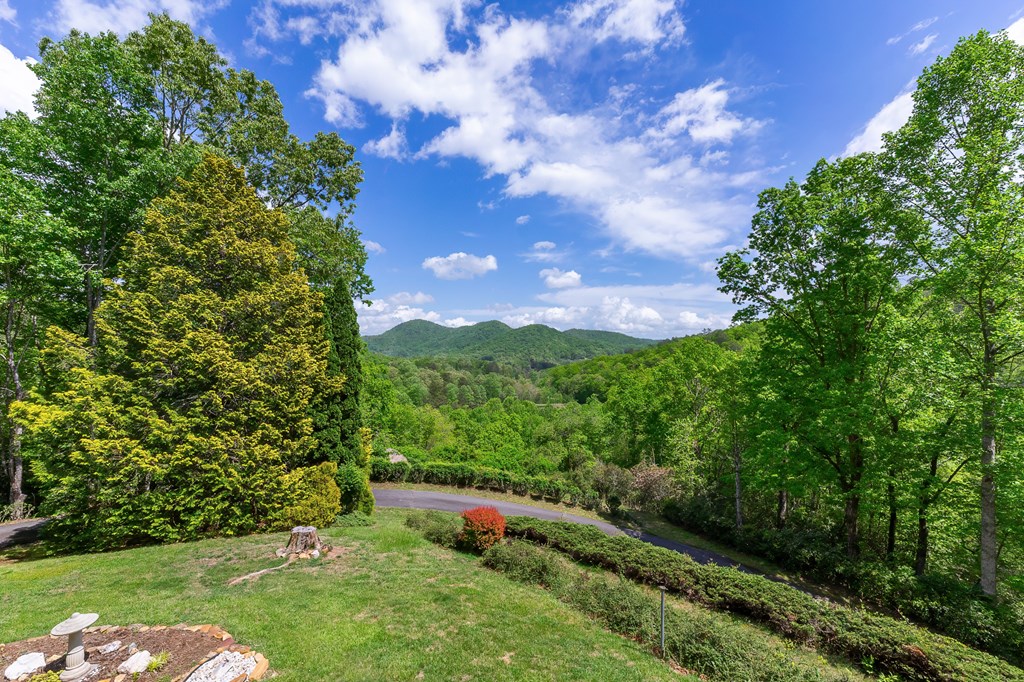 1135 DAVES CREEK RD