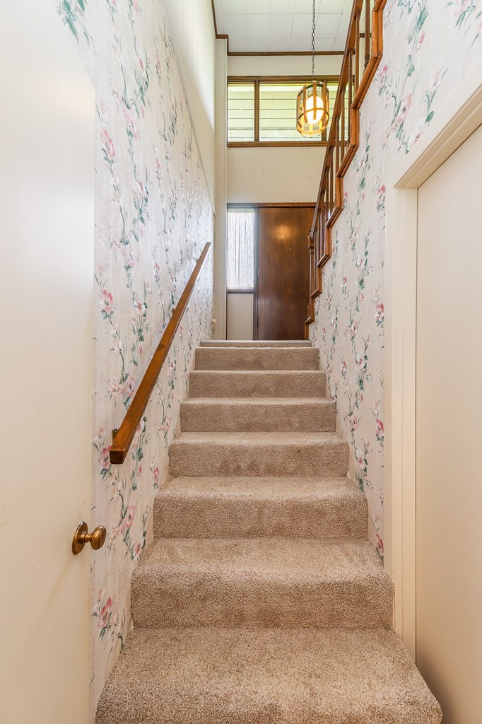 1135 DAVES CREEK RD