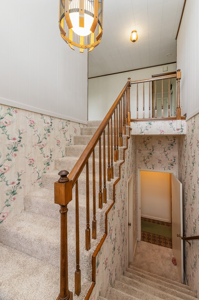 1135 DAVES CREEK RD