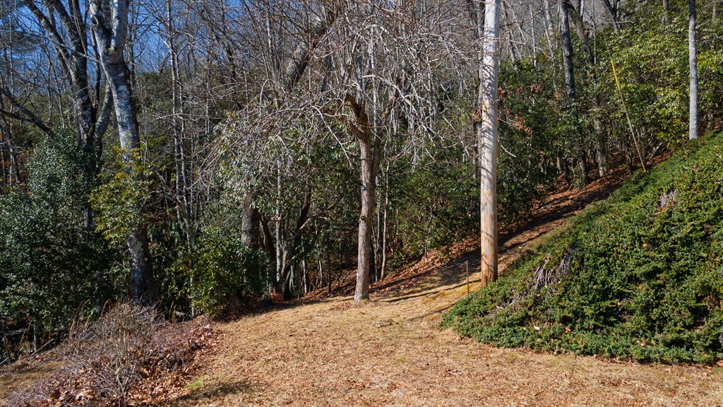 1135 DAVES CREEK RD