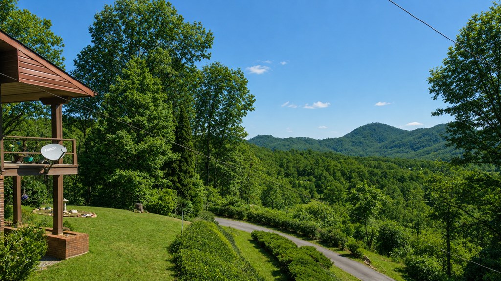 1135 DAVES CREEK RD