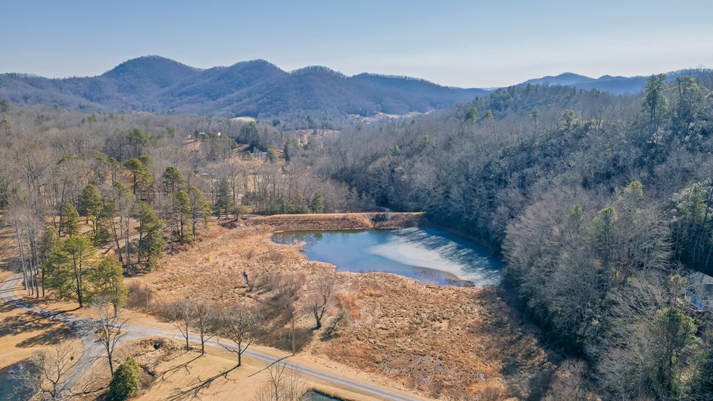 1135 DAVES CREEK RD