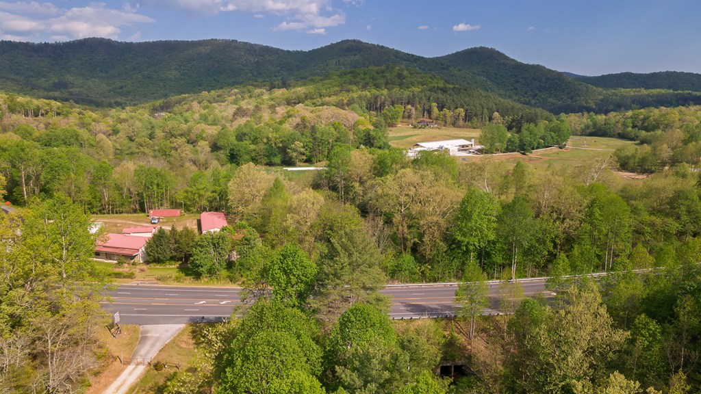 11485 Georgia Road