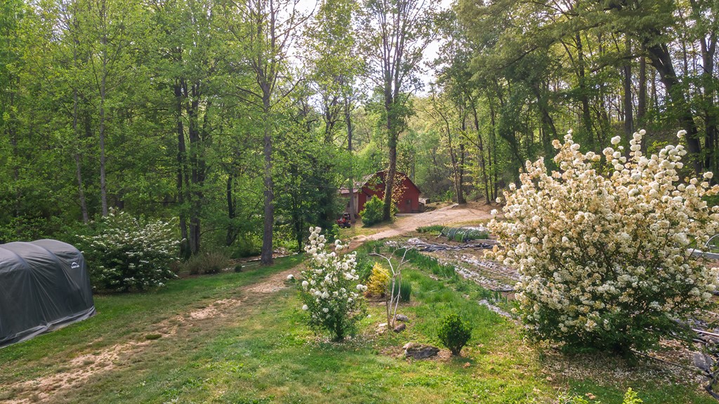 11485 Georgia Road