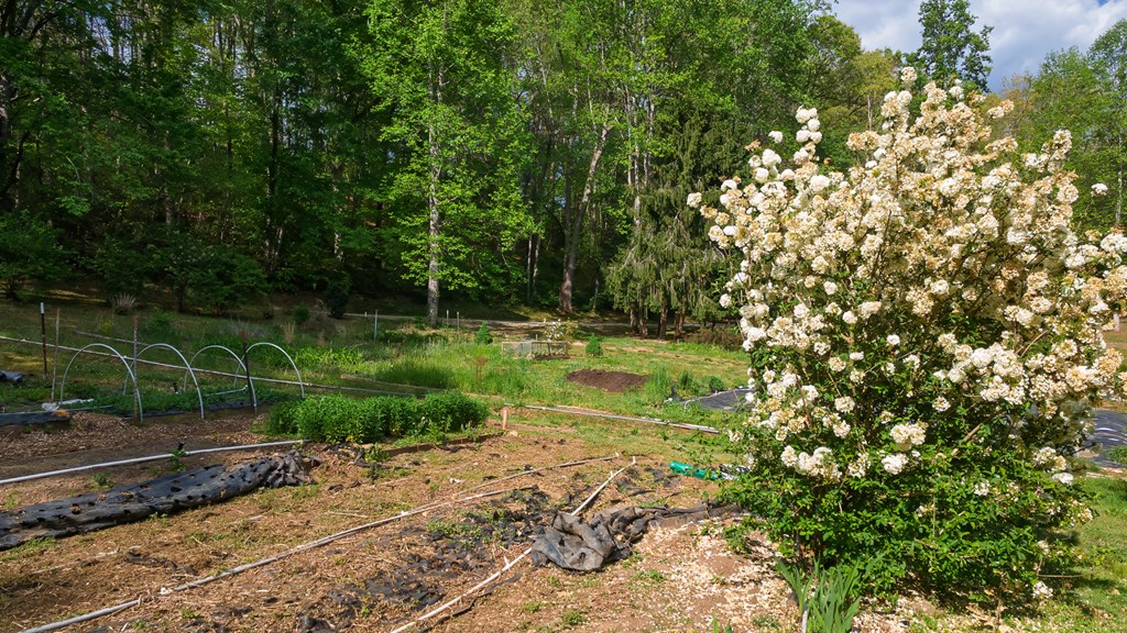 11485 Georgia Road