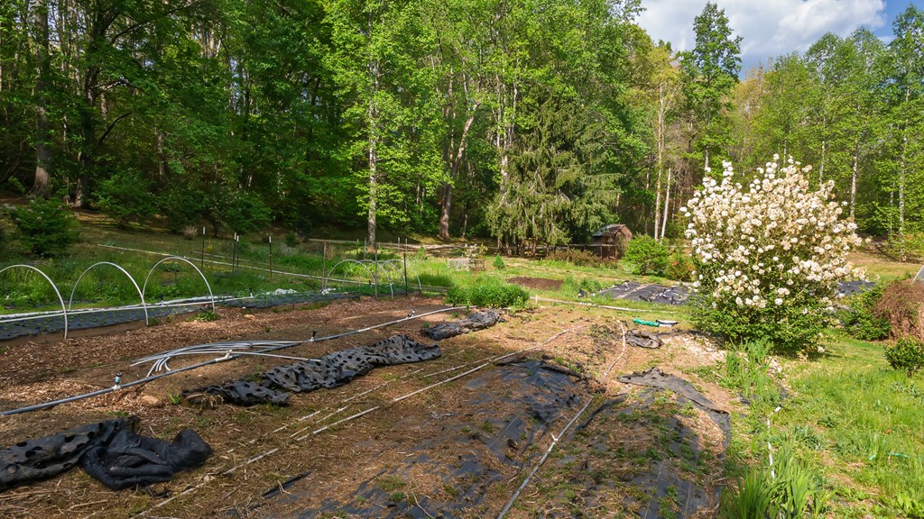 11485 Georgia Road