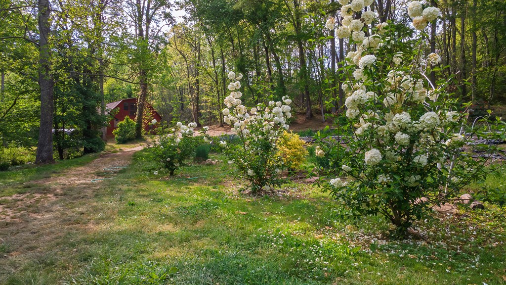 11485 Georgia Road