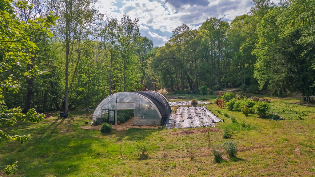 11485 Georgia Road