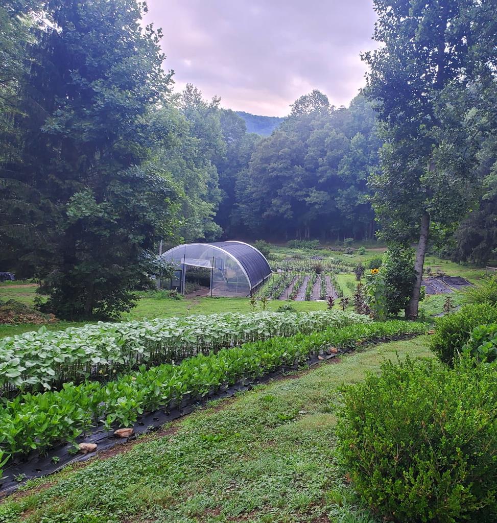 11485 Georgia Road