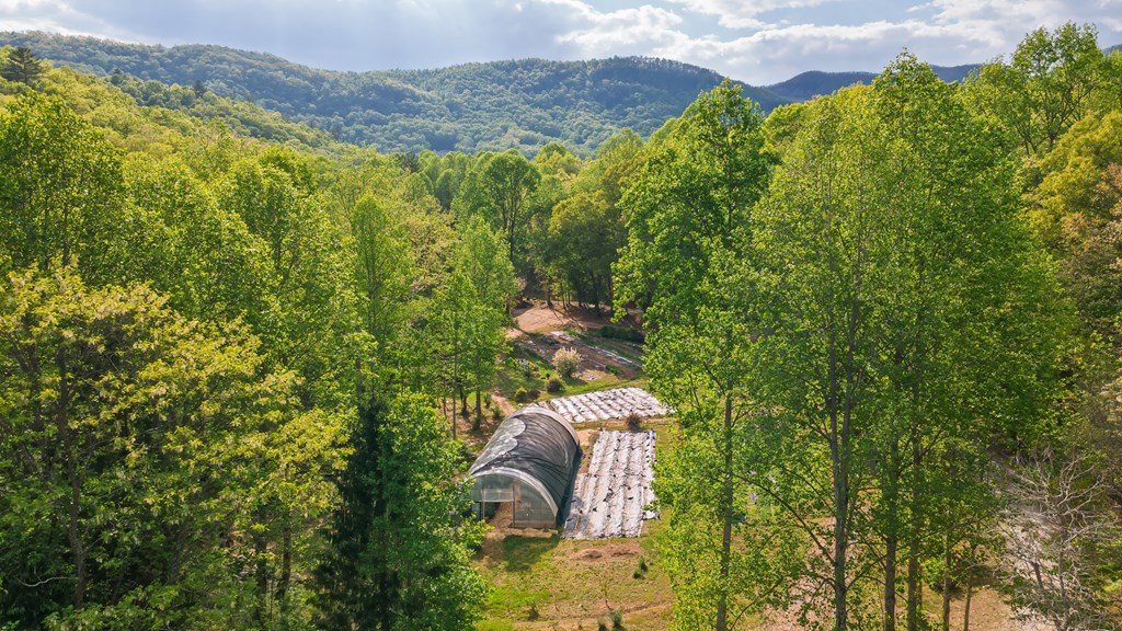 11485 Georgia Road