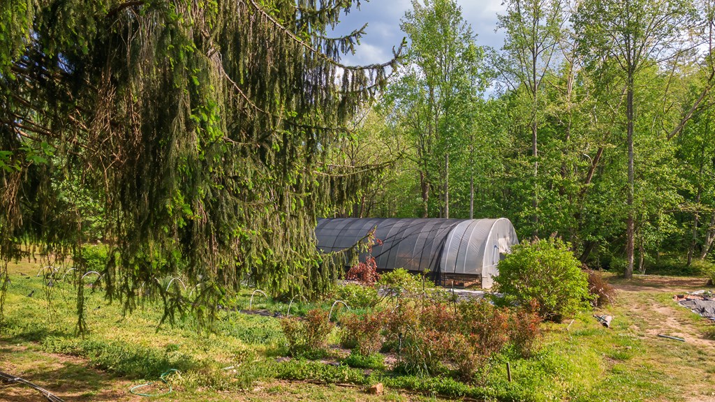 11485 Georgia Road