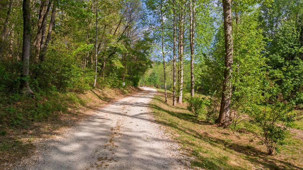 11485 Georgia Road