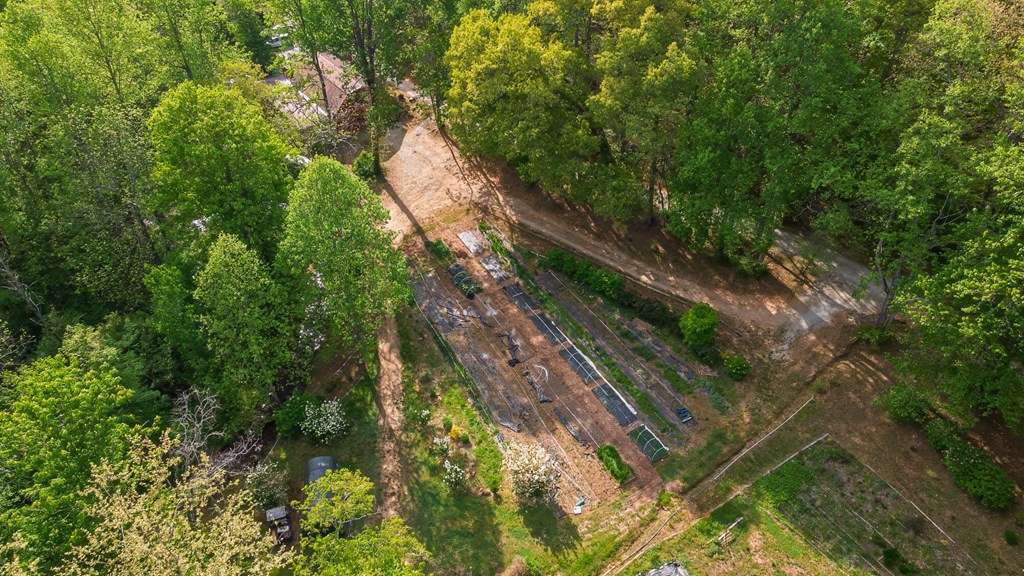 11485 Georgia Road