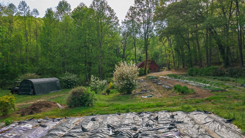 11485 Georgia Road
